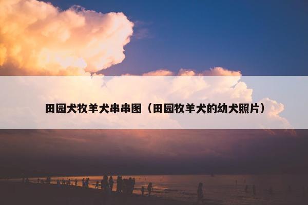 田园犬牧羊犬串串图（田园牧羊犬的幼犬照片）