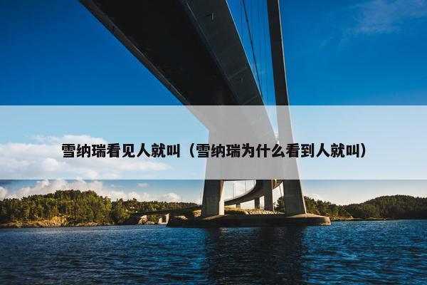 雪纳瑞看见人就叫（雪纳瑞为什么看到人就叫）