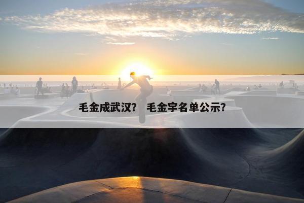 毛金成武汉？ 毛金宇名单公示？