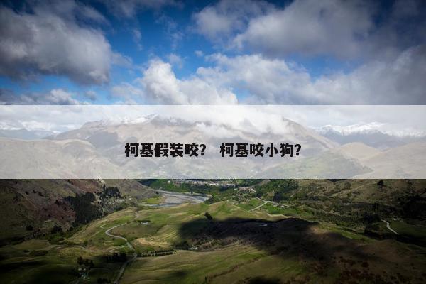 柯基假装咬？ 柯基咬小狗？