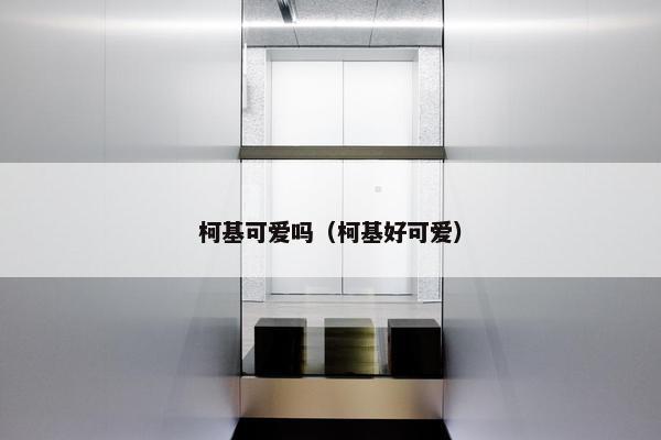 柯基可爱吗（柯基好可爱）