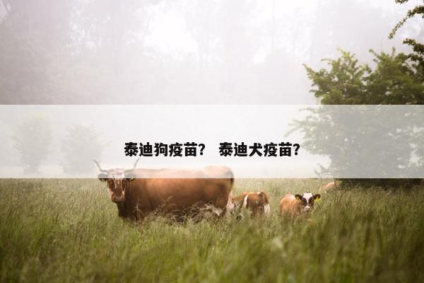 泰迪狗疫苗？ 泰迪犬疫苗？