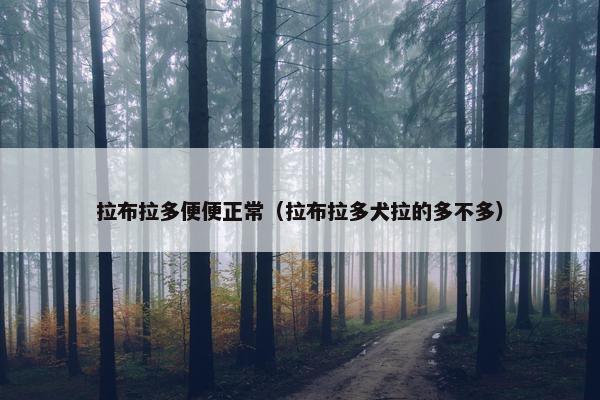 拉布拉多便便正常（拉布拉多犬拉的多不多）