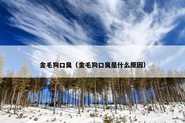 金毛狗口臭（金毛狗口臭是什么原因）