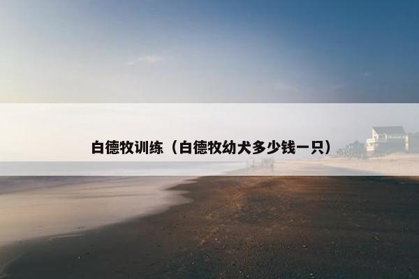白德牧训练（白德牧幼犬多少钱一只）