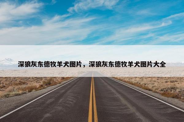 深狼灰东德牧羊犬图片，深狼灰东德牧羊犬图片大全