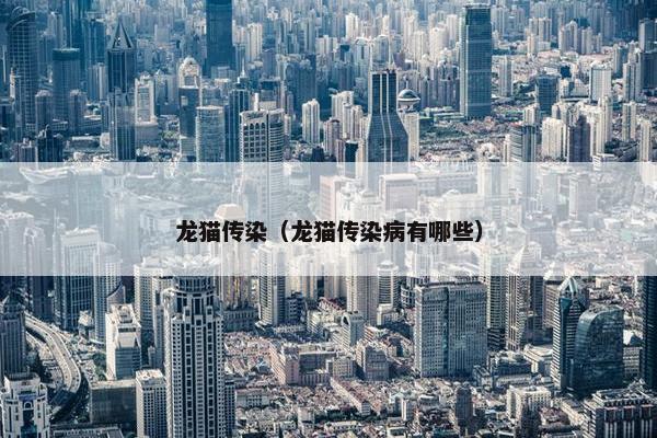 龙猫传染（龙猫传染病有哪些）