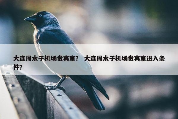 大连周水子机场贵宾室？ 大连周水子机场贵宾室进入条件？