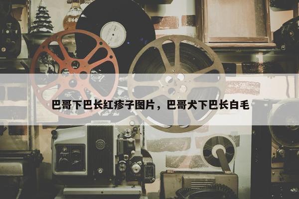巴哥下巴长红疹子图片，巴哥犬下巴长白毛