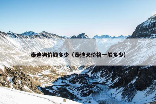 泰迪狗价钱多少（泰迪犬价格一般多少）