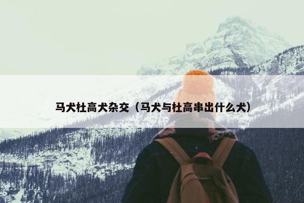 马犬杜高犬杂交（马犬与杜高串出什么犬）