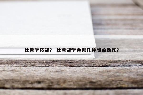 比熊学技能？ 比熊能学会哪几种简单动作？