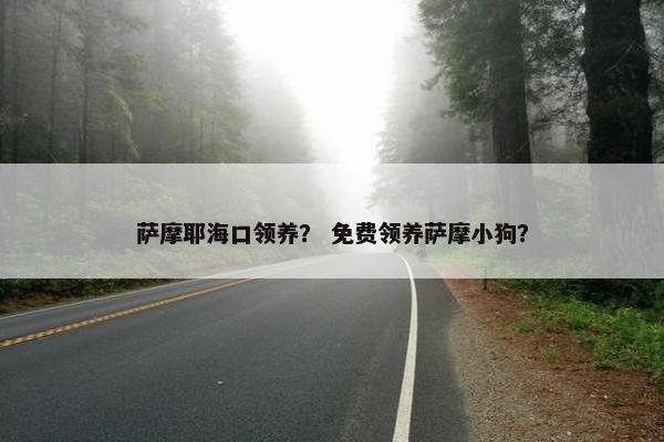 萨摩耶海口领养？ 免费领养萨摩小狗？