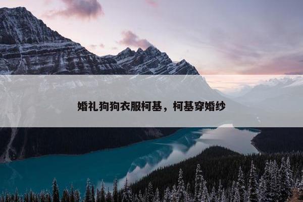 婚礼狗狗衣服柯基，柯基穿婚纱