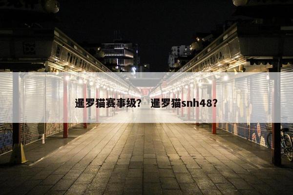 暹罗猫赛事级？ 暹罗猫snh48？