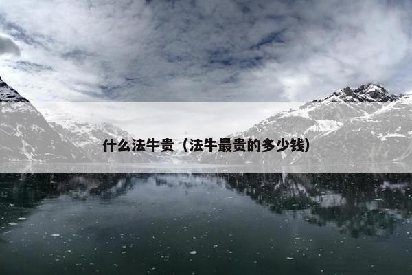什么法牛贵（法牛最贵的多少钱）