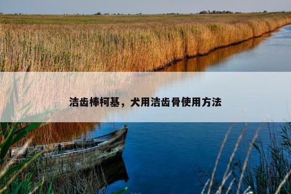 洁齿棒柯基，犬用洁齿骨使用方法