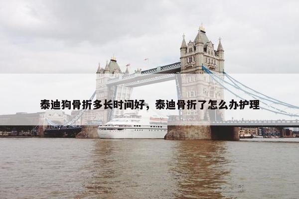 泰迪狗骨折多长时间好，泰迪骨折了怎么办护理