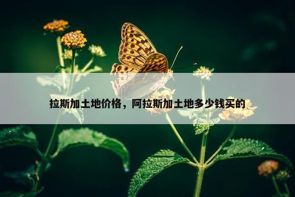 拉斯加土地价格，阿拉斯加土地多少钱买的
