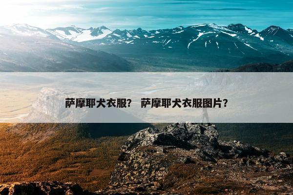 萨摩耶犬衣服？ 萨摩耶犬衣服图片？