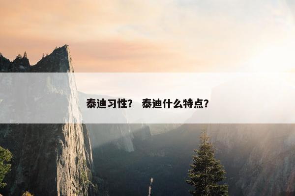 泰迪习性？ 泰迪什么特点？