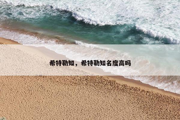 希特勒知，希特勒知名度高吗