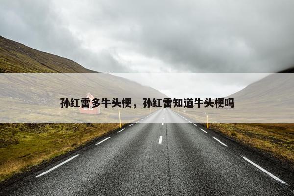 孙红雷多牛头梗，孙红雷知道牛头梗吗