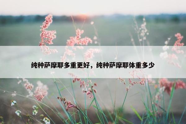 纯种萨摩耶多重更好，纯种萨摩耶体重多少