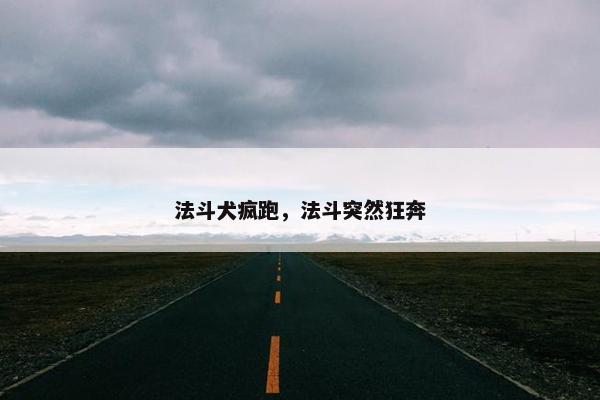 法斗犬疯跑，法斗突然狂奔