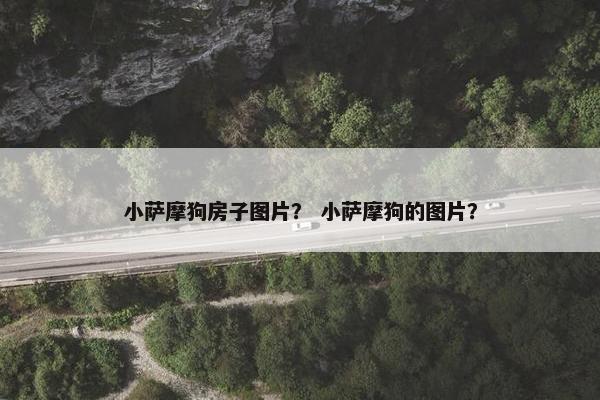 小萨摩狗房子图片？ 小萨摩狗的图片？