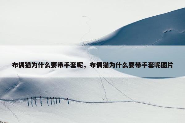 布偶猫为什么要带手套呢，布偶猫为什么要带手套呢图片