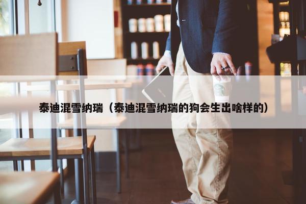 泰迪混雪纳瑞（泰迪混雪纳瑞的狗会生出啥样的）