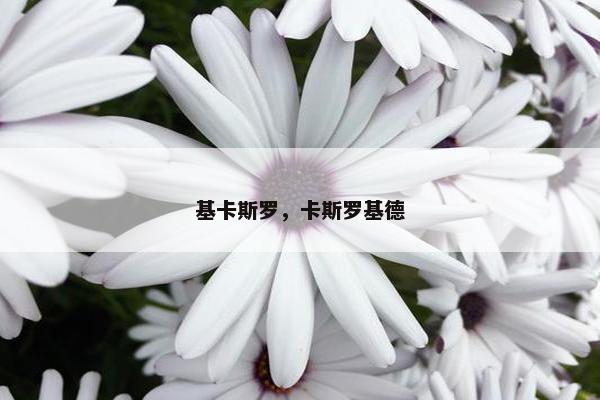 基卡斯罗，卡斯罗基德