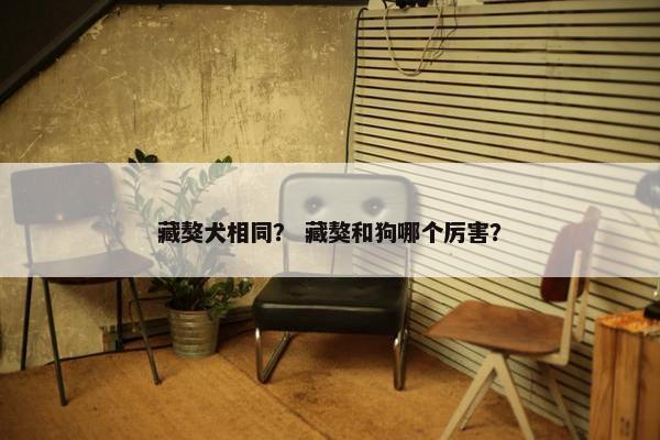 藏獒犬相同？ 藏獒和狗哪个厉害？