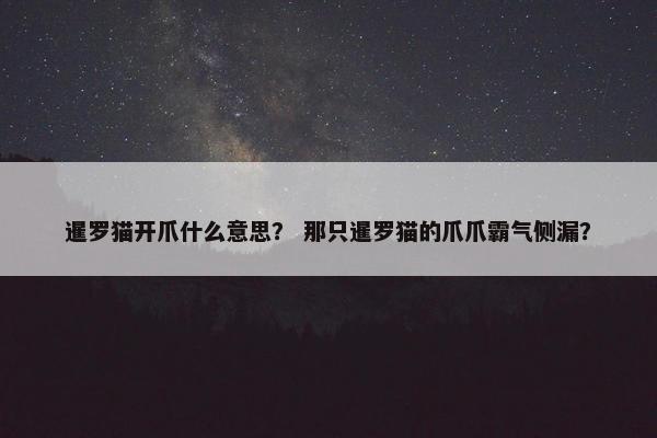 暹罗猫开爪什么意思？ 那只暹罗猫的爪爪霸气侧漏？