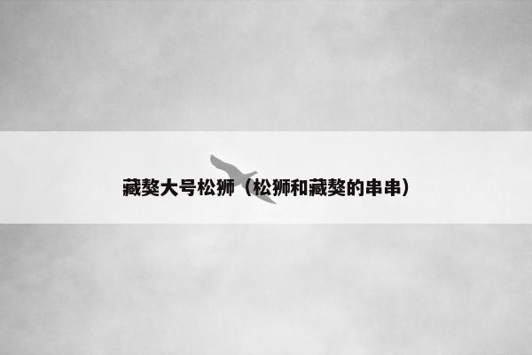 藏獒大号松狮（松狮和藏獒的串串）