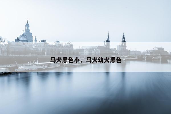 马犬黑色小，马犬幼犬黑色