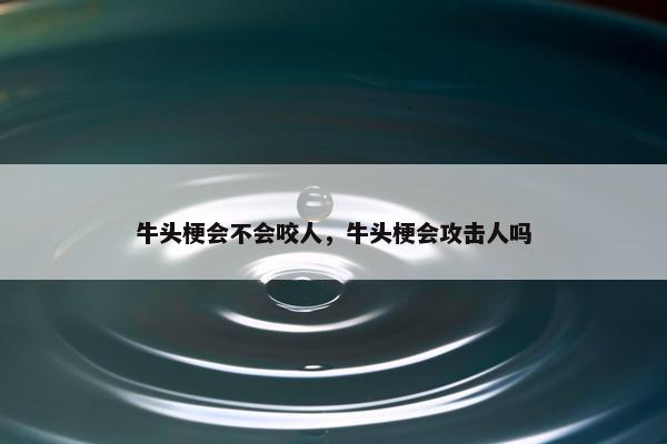 牛头梗会不会咬人，牛头梗会攻击人吗