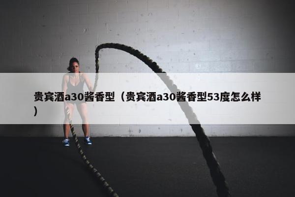 贵宾酒a30酱香型（贵宾酒a30酱香型53度怎么样）