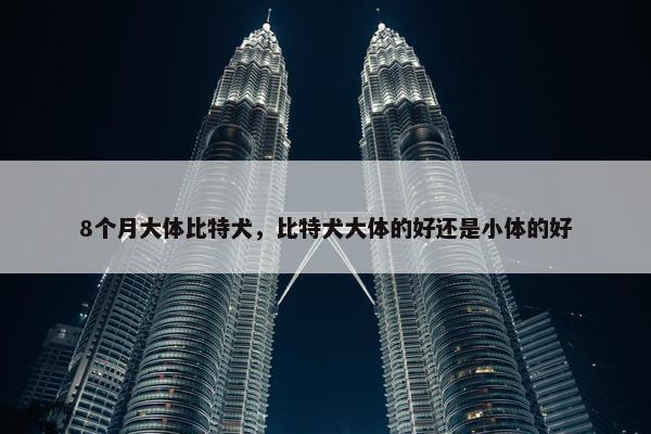 8个月大体比特犬，比特犬大体的好还是小体的好