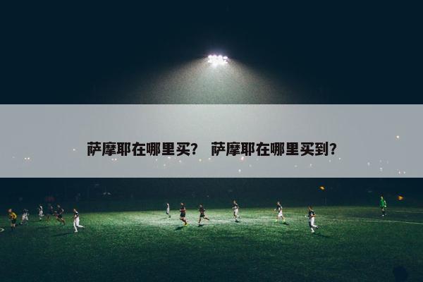 萨摩耶在哪里买？ 萨摩耶在哪里买到？
