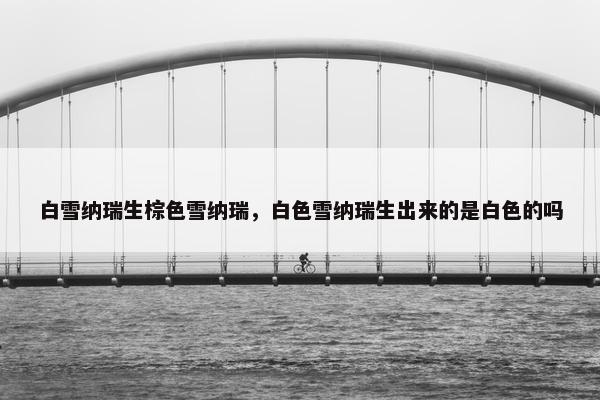白雪纳瑞生棕色雪纳瑞，白色雪纳瑞生出来的是白色的吗