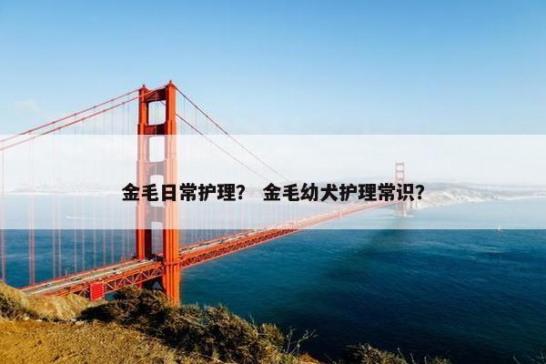 金毛日常护理？ 金毛幼犬护理常识？