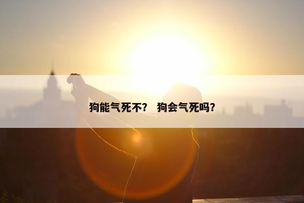 狗能气死不？ 狗会气死吗？