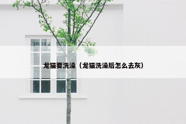 龙猫要洗澡（龙猫洗澡后怎么去灰）