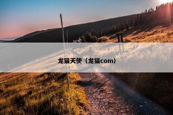 龙猫天使（龙猫com）