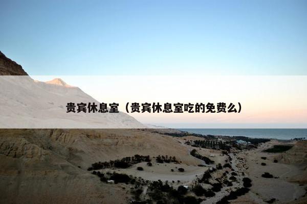 贵宾休息室（贵宾休息室吃的免费么）