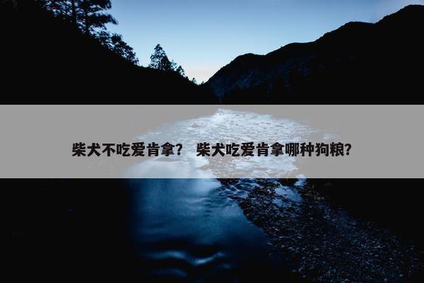 柴犬不吃爱肯拿？ 柴犬吃爱肯拿哪种狗粮？