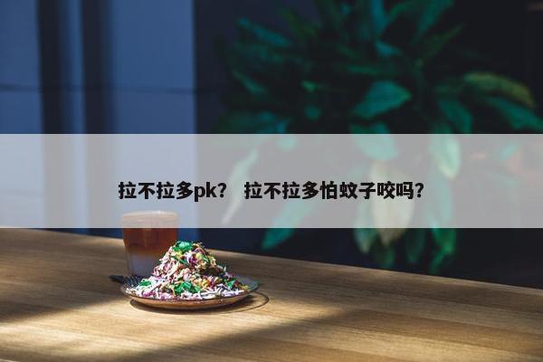 拉不拉多pk？ 拉不拉多怕蚊子咬吗？