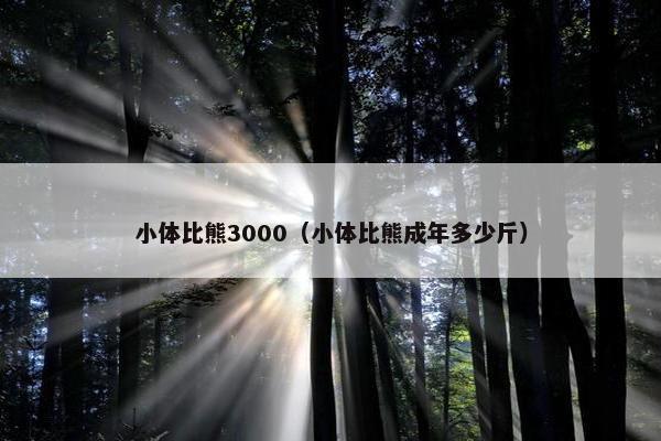 小体比熊3000（小体比熊成年多少斤）